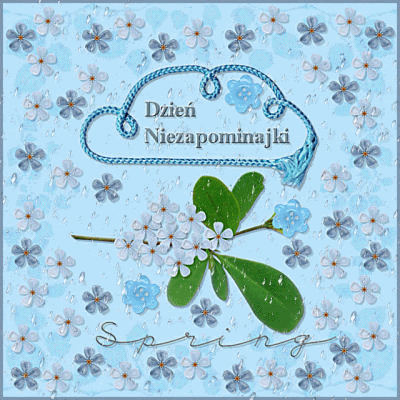 Dzień Niezapominajki deszcz